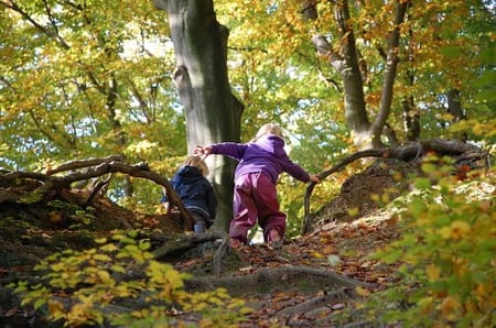 Mossy Memories | Jesse Jones Park