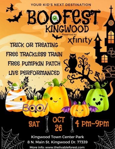 Boofest Kingwood at Kingwood Town Center Park