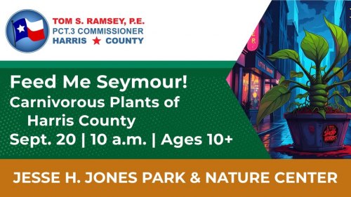 Feed Me Seymour! Carnivorous Plants of Harris County