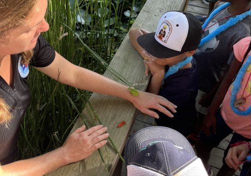 Tadpoles Club at Jesse Jones Park