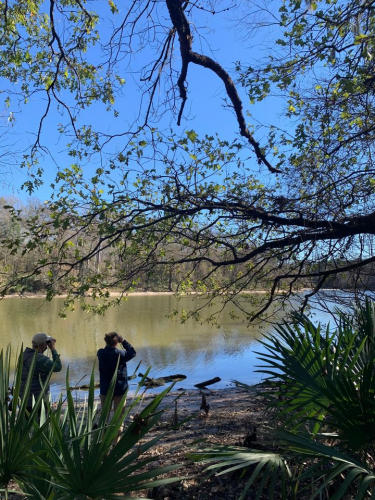 Christmas Bird Count | Jesse Jones Park