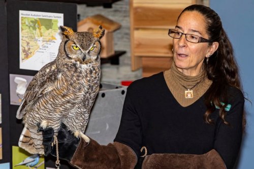 8 Years of Bringing People & Nature Together in Kingwood at Wild Birds Unlimited