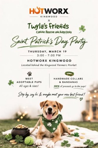 Saint Patrick's Day Party with Twyla's Friends