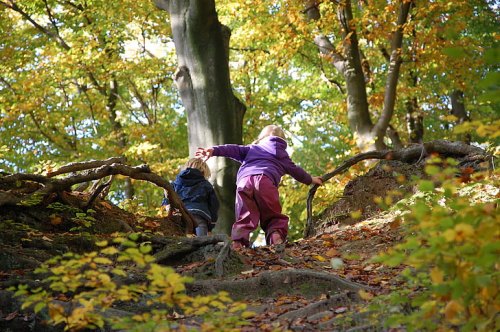 Mossy Memories | Jesse Jones Park