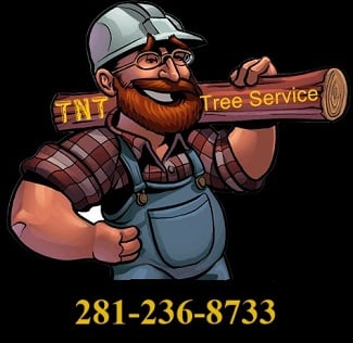 TNT Tree Service Logo