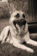 Profile photo