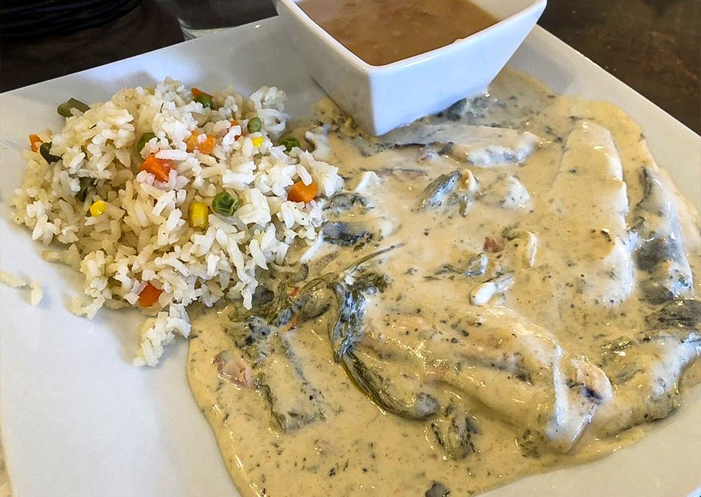 This looks like something that the cat threw up!