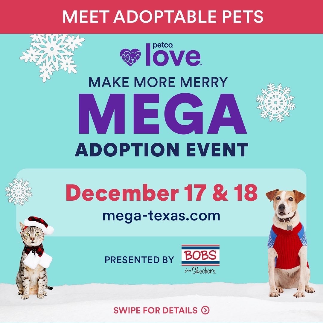 This Saturday and Sunday are the Make More Merry Mega Adoption E