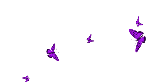 Loading Image...