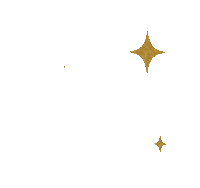 Loading Image...