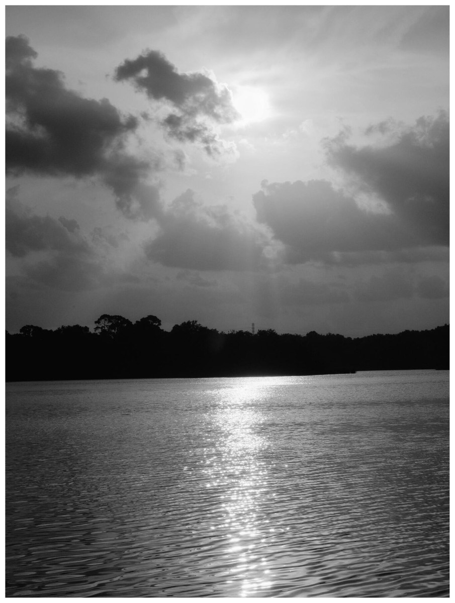 Loading Image...