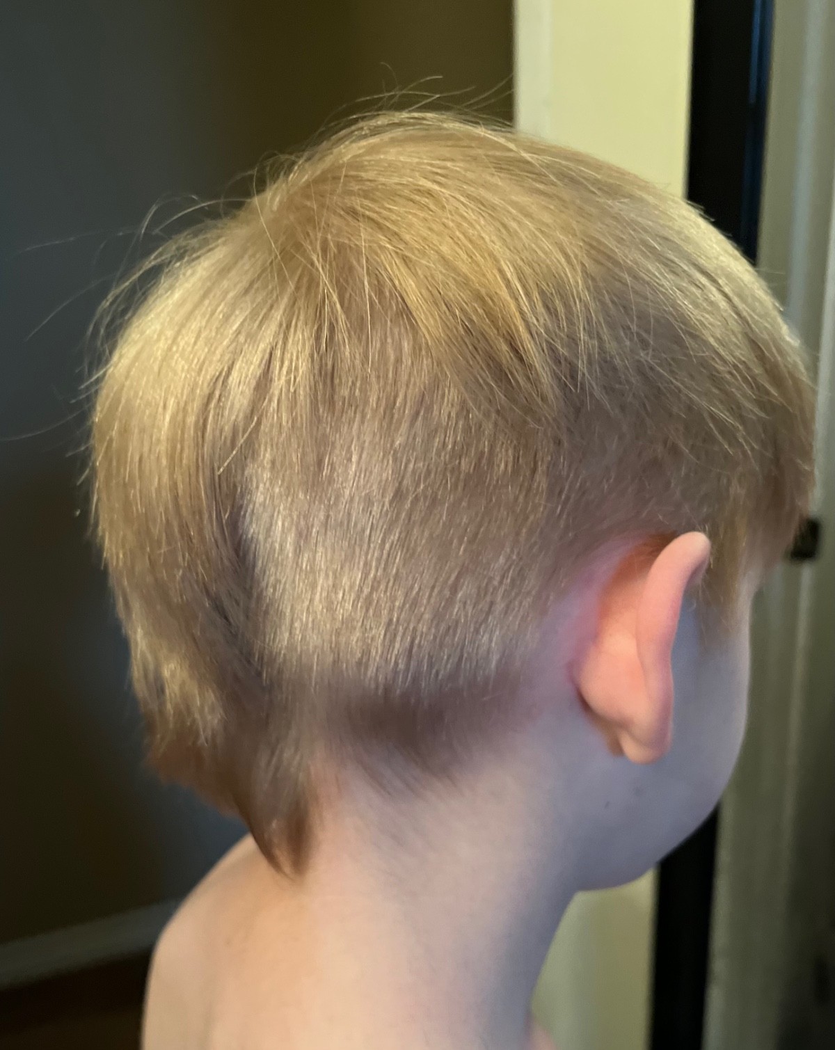 Apparently Mullets Are Making A Comeback