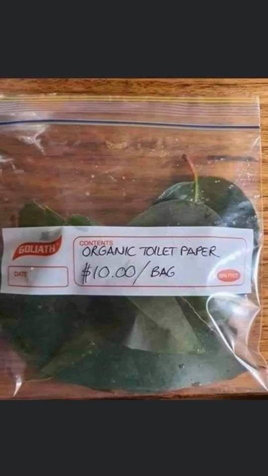 Toilet paper problem solved.