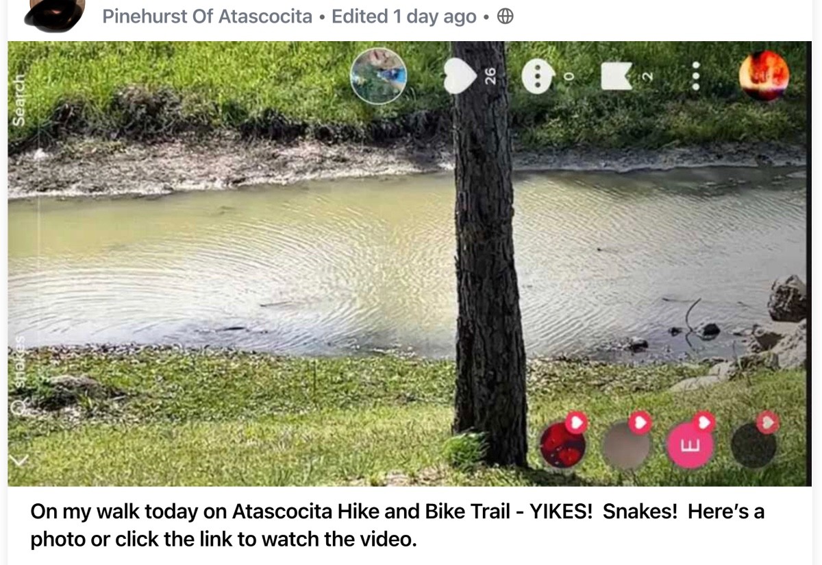 Pinehurst of Atascocita